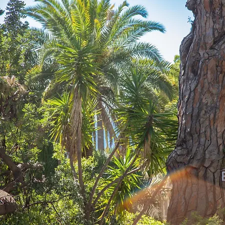 Spacious 4 Minutes Walk From The Beaches *