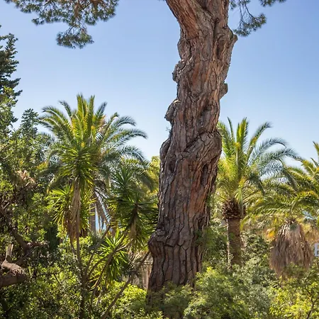 Spacious 4 Minutes Walk From The Beaches *