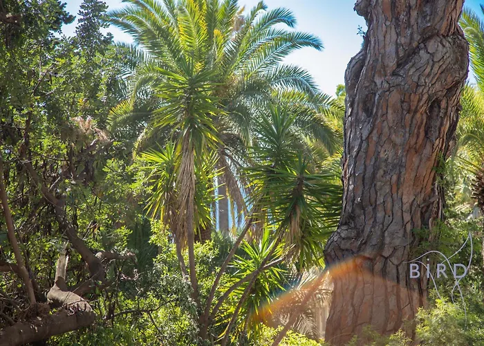 Spacious 4 Minutes Walk From The Beaches *