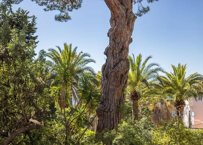 Spacious 4 Minutes Walk From The Beaches *