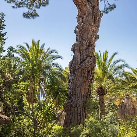 Spacious 4 Minutes Walk From The Beaches Κάννες