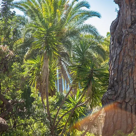 Spacious 4 Minutes Walk From The Beaches Διαμέρισμα