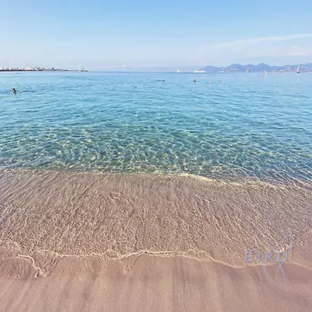 Spacious 4 Minutes Walk From The Beaches Διαμέρισμα Κάννες